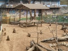 -西安秦岭野生动物园