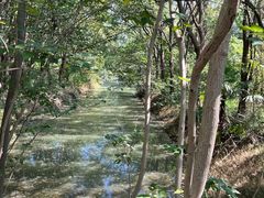 -同里国家湿地公园