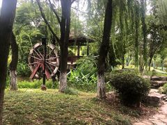 -习家池
