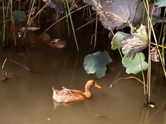 -杭州湖滨银泰in77