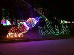 -沈阳奥体冰雪嘉年华