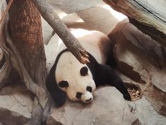 -宁波野生动物园