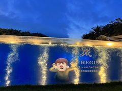 -三亚亚龙湾瑞吉度假酒店