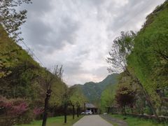 -沣峪森林公园龙潭戏水景区