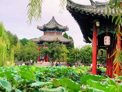 -济南大明湖景区