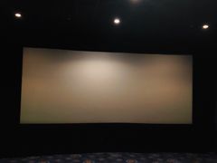 -AMG海上明珠影城(上海环球港RealDCinema店)