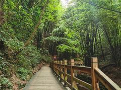 -凤栖山
