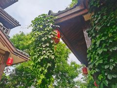 -诗经里