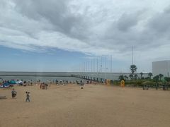 -碧海金沙