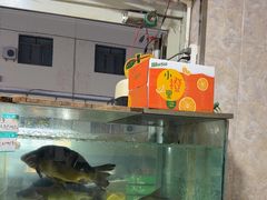 -煲来饱去冷水鱼