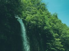 -龙苍沟森林公园