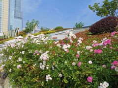 -UNI UNI(环亚凯瑟琳店)