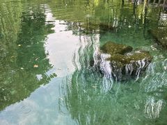 -趵突泉景区