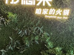 -彤德莱牛肉火锅(双港店)