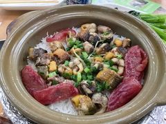 -崖口煲仔饭