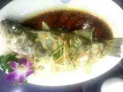 清蒸鲈鱼-乐山饺子城(长江北街店)