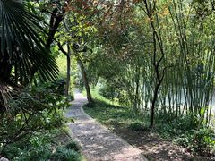 -盆景园(扬州大运河文化旅游度假区)