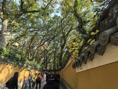 -普陀山风景名胜区-法雨禅寺