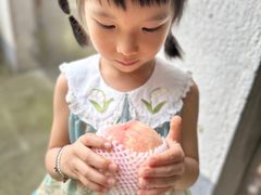 -老袁家蜜桃农场·阳山水蜜桃