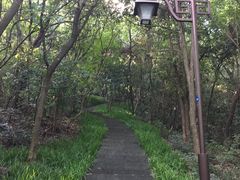 -杭州半山国家森林公园