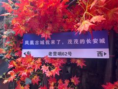 -十里香粉馆(虹桥中路店)
