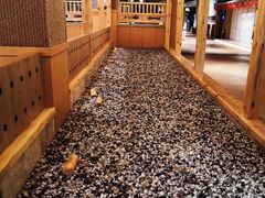 -汤W城市微度假(仓山店)