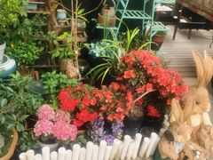 -FEI FEI FLOWER鲜花店·气球派对·宝宝宴布置(虹口德必运动Loft店)
