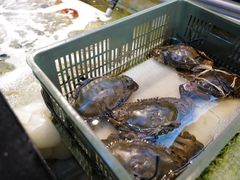 -海九澎湖海鲜餐厅