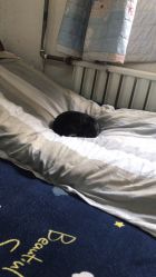 -北京市朝阳区妇幼保健院(南院区)