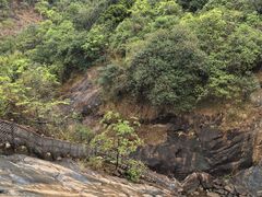 -广州白江湖森林公园