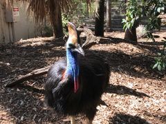 -费瑟代尔野生动物园