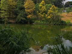 -云溪植物园