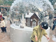-杭州开元森泊度假乐园