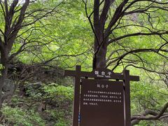 -阳台山自然风景区