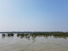 -北海金海湾红树林生态旅游区