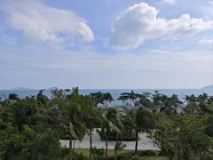 -亚龙湾喜来登·美景台大堂吧