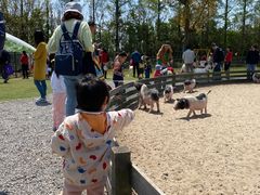 -前小桔亲子创意农场·草莓采摘·露营烧烤