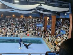 -洛阳龙门海洋馆