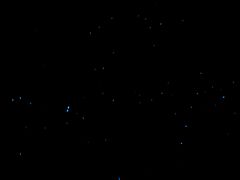 -怀托摩萤火虫洞