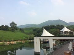 picture-帐篷客·溪龙茶谷度假酒店