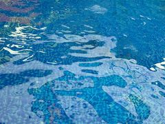 -Swim斯卫姆国际儿童游泳中心(红博中央公园店)