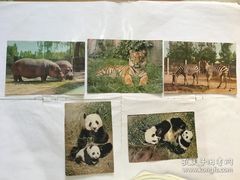 -石家庄市动物园