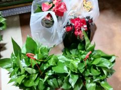 -朝来春花卉市场