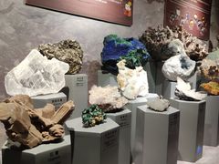 -正佳自然科学博物馆