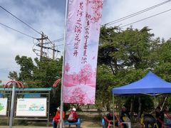 -仁寿山