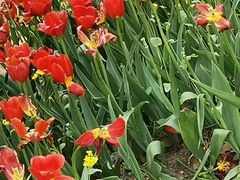 -长春公园(普阳街道)