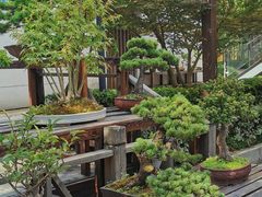 -陈家山荷花公园