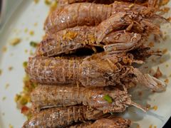 -五谷芳乳鸽王(梅沙老店)