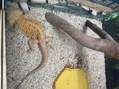 -苏州海洋馆