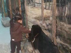 -北京动物园-畅观楼